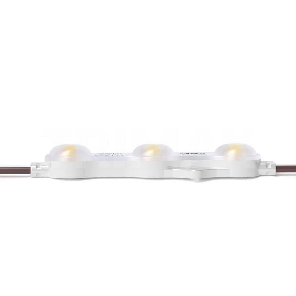 Modul LED 1.5W, BL-230V, IP65